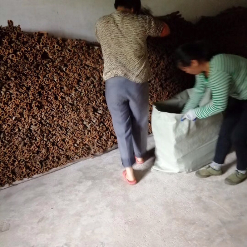中通桂皮大量有货干度好无白斑量大价格优惠