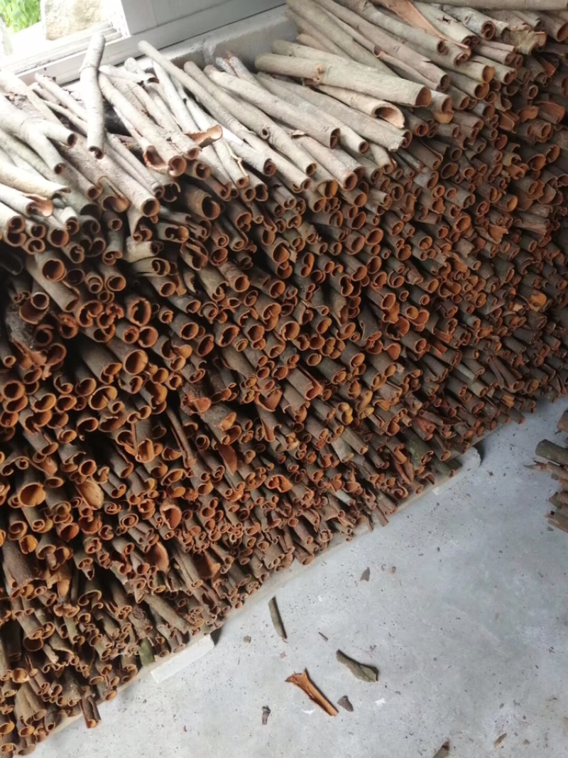 中通桂皮大量有货干度好无白斑量大价格优惠