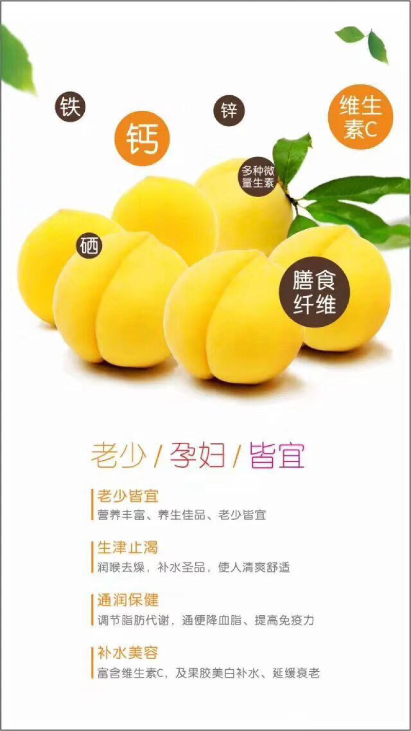 炎陵高山黄桃