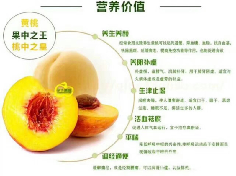 炎陵高山黄桃