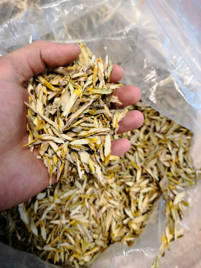 金钗石斛干片，（正品云金），纯野生新货。
