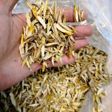 金钗石斛干片，（正品云金），纯野生新货。