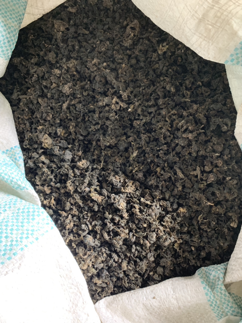 地皮菜，产地大量发货，对接全国各地客户，欢迎咨询