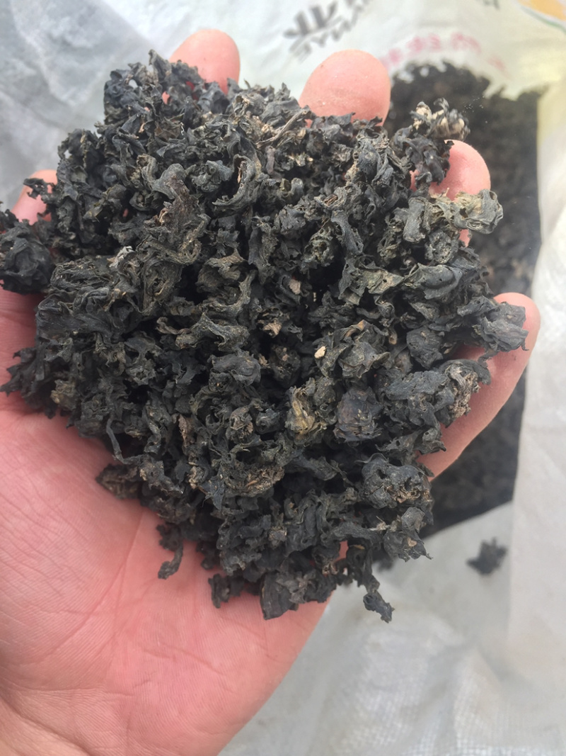地皮菜，产地大量发货，对接全国各地客户，欢迎咨询