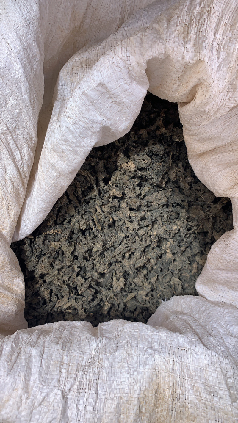 地皮菜，产地大量发货，对接全国各地客户，欢迎咨询