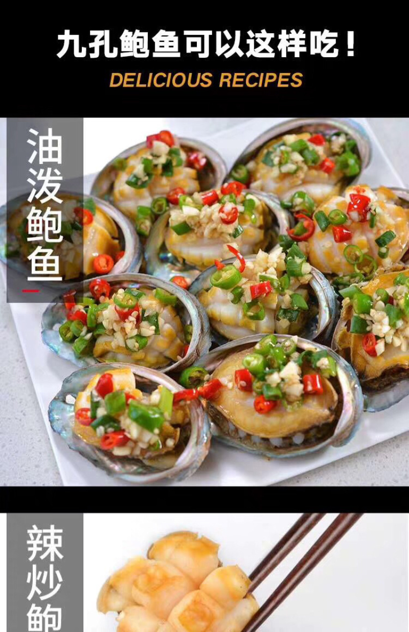 新鲜海捕鲜活小鲍鱼肉质肥美品质保证鲜活发货