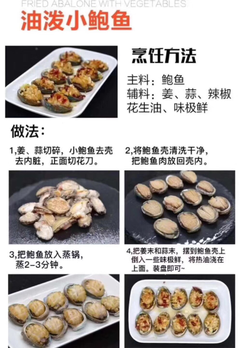 新鲜海捕鲜活小鲍鱼肉质肥美品质保证鲜活发货