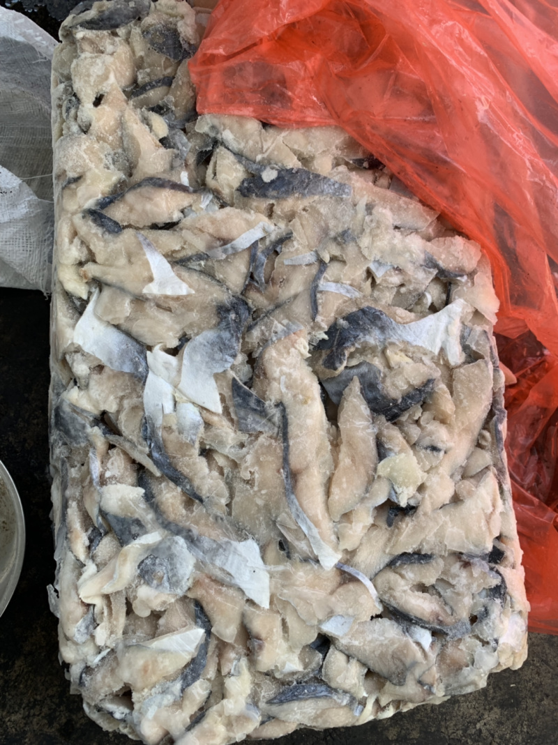 鲅鱼碎肉