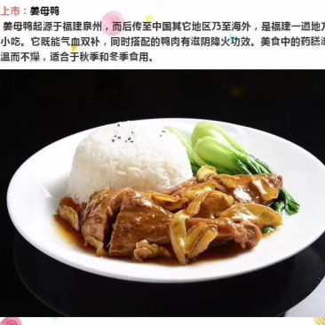 肉鸡