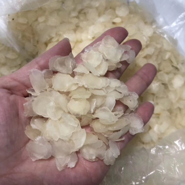 皂角米各种规格大量品批发