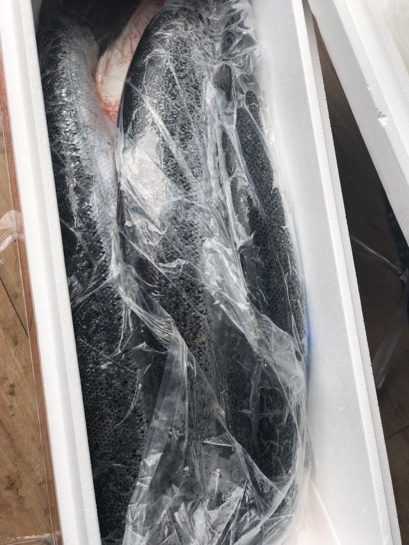 挪威🇳🇴进口三文鱼新鲜三文鱼中段
