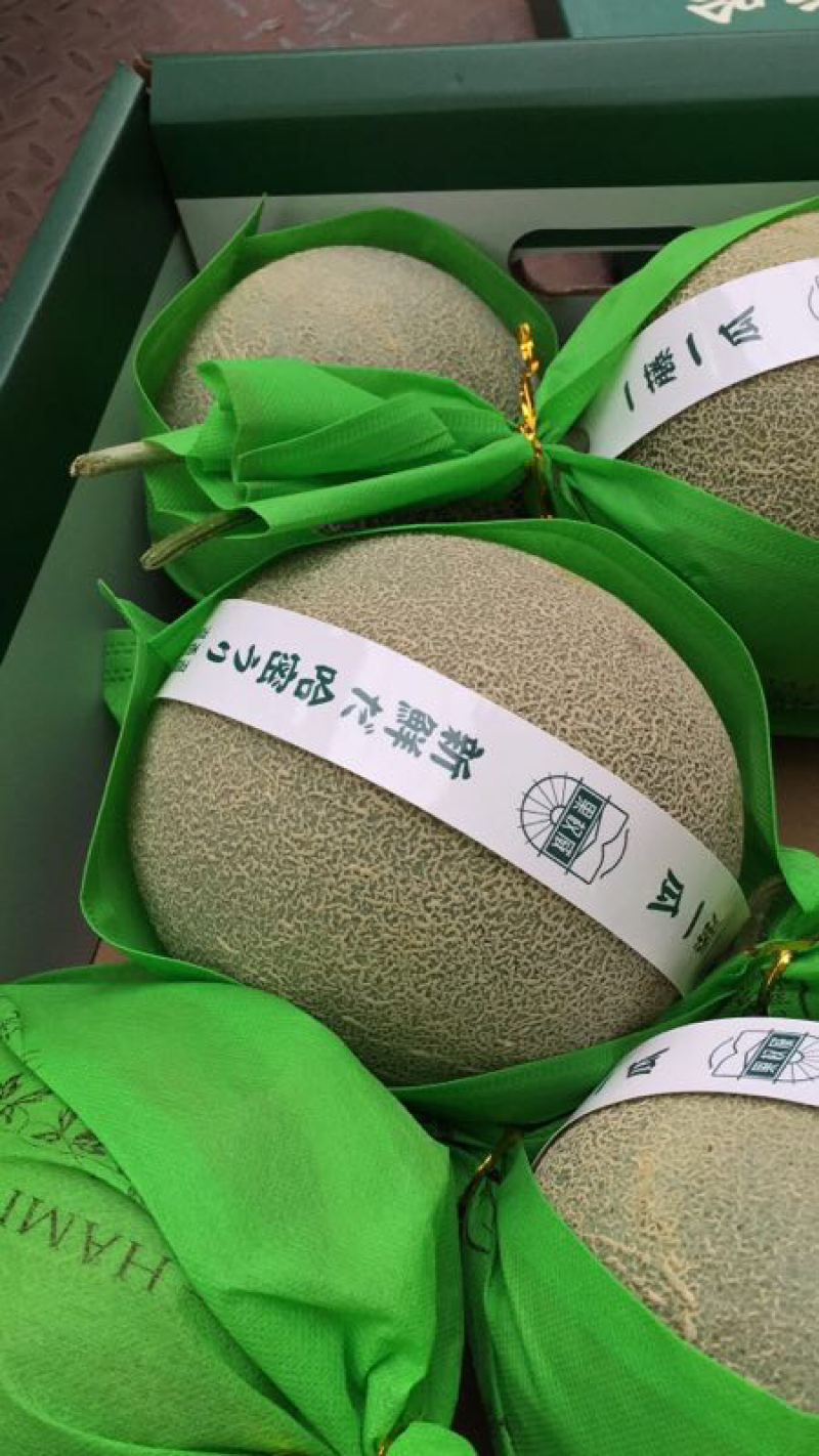 诚信代办实力供应优质网纹甜瓜