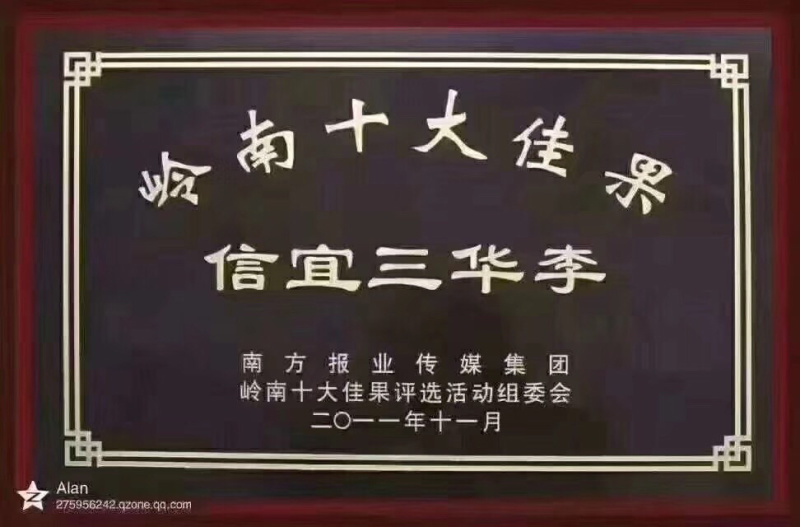 正宗钱排银妃三华李纯天然李子