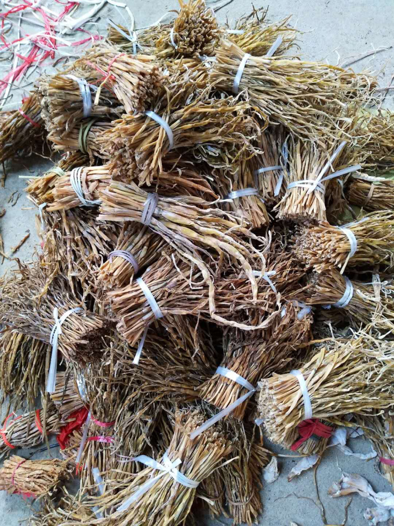 野生原味小笋干