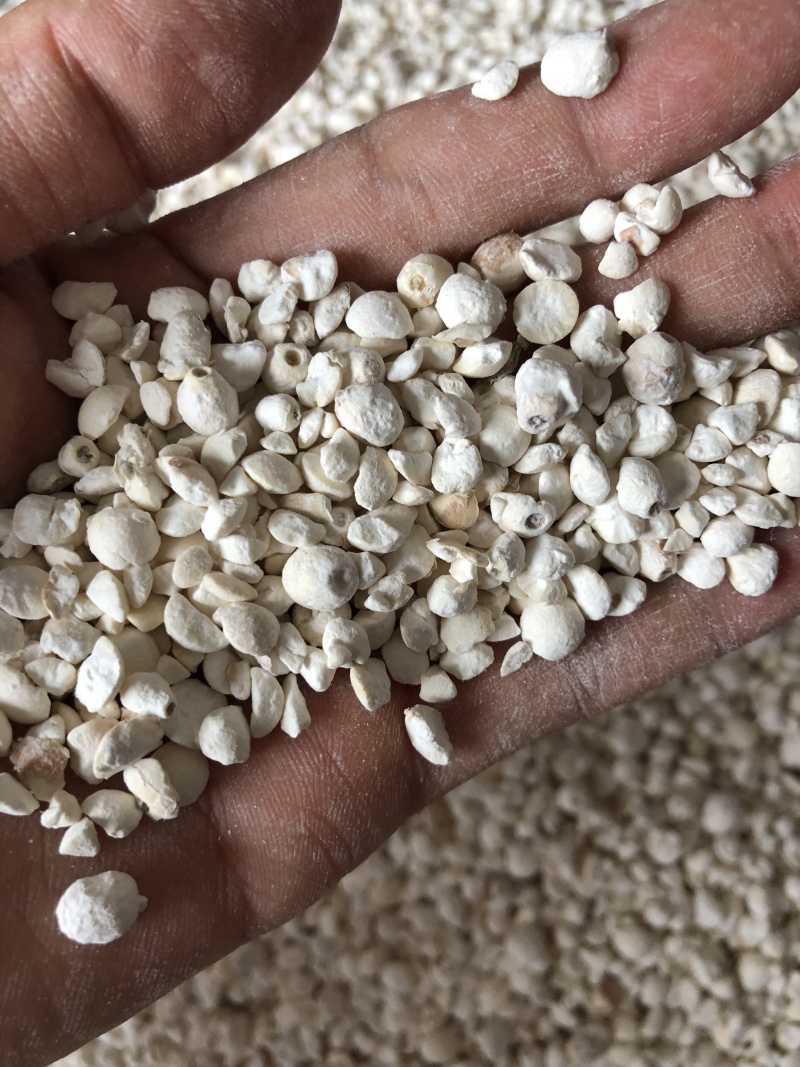 碎苏芡碎鸡头米碎芡实