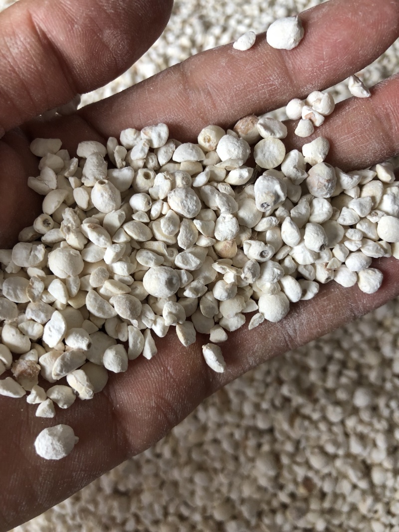 碎苏芡碎鸡头米碎芡实
