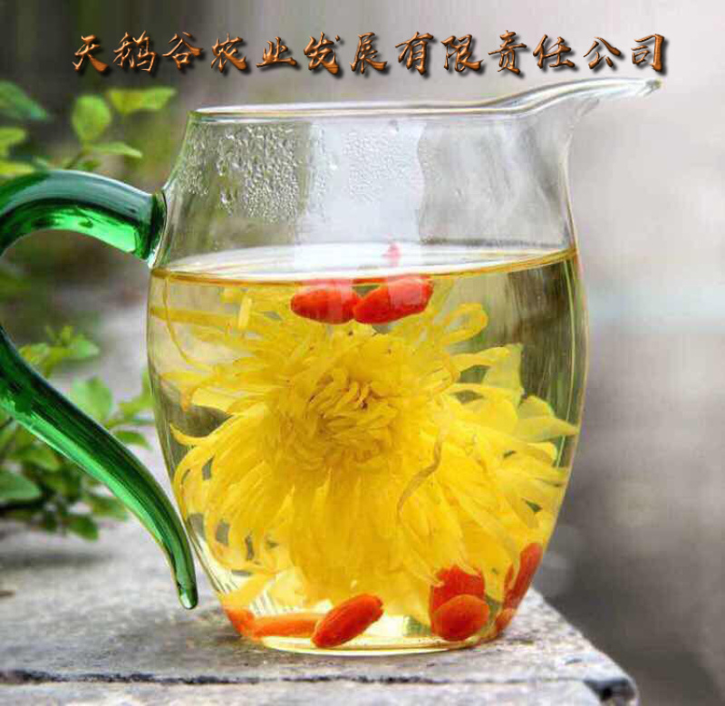 精品金丝皇菊