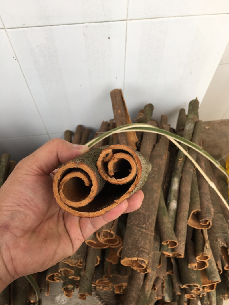 桂皮