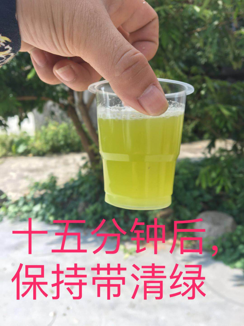 黄皮甘蔗榨汁优选水果甘蔗白甘蔗黄皮果蔗