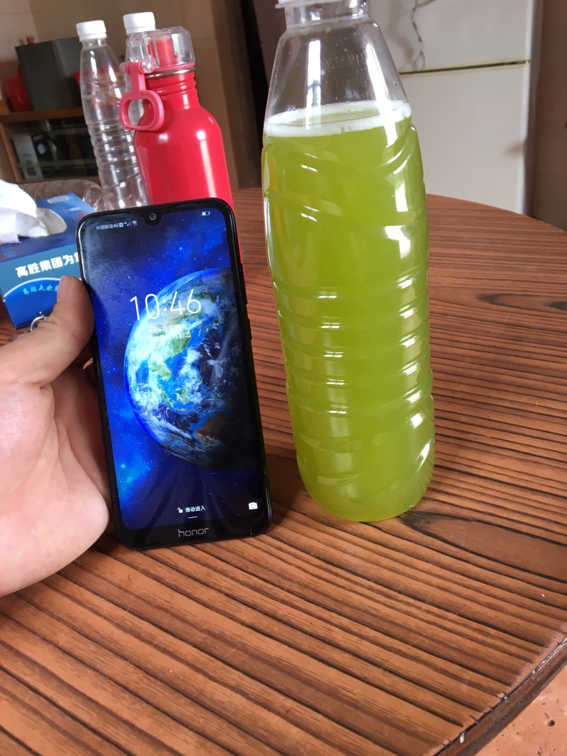 黄皮甘蔗榨汁优选水果甘蔗白甘蔗黄皮果蔗