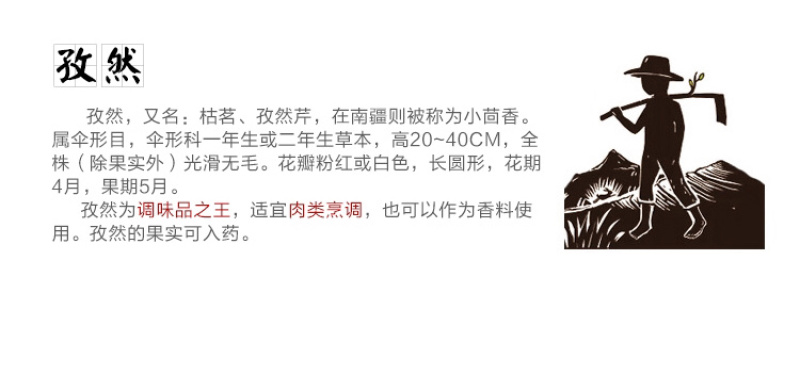 新疆孜然粒年新的干货500克包邮