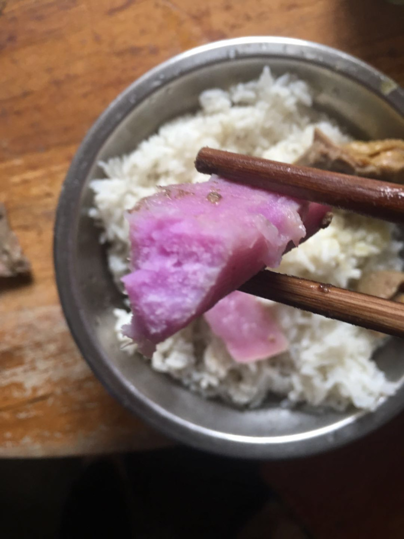 广西紫玉淮山种苗，品种纯正优良品质保证产量高免费支持技术