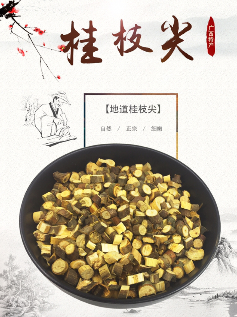 广西桂枝尖桂枝中粒药食同源食品级足干批发零售