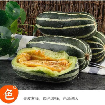 山东博洋9⃣️甜瓜嘎嘎脆甜大量上市诚信代办实力发货大量有货