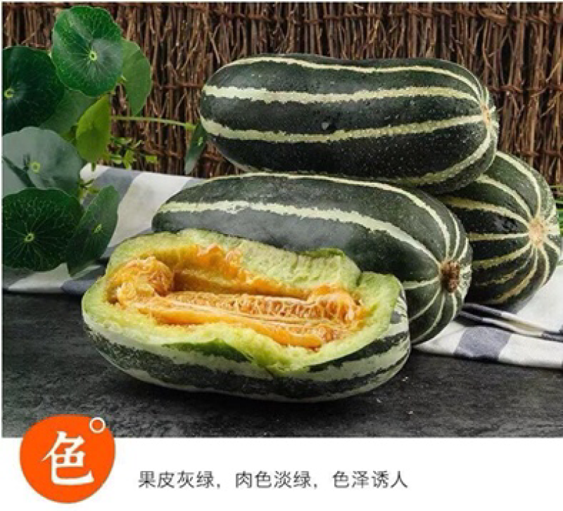 山东博洋9⃣️甜瓜嘎嘎脆甜大量上市诚信代办实力发货大量有货
