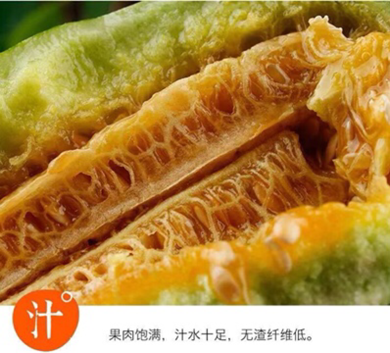 山东博洋9⃣️甜瓜嘎嘎脆甜大量上市诚信代办实力发货大量有货
