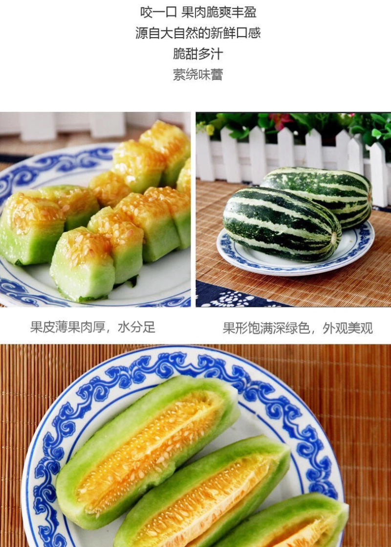山东博洋9⃣️甜瓜嘎嘎脆甜大量上市诚信代办实力发货大量有货