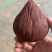 进口皇冠血竭，手续齐全
