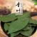 香叶新货冷库保管绿叶火锅底料全干无硫新的货