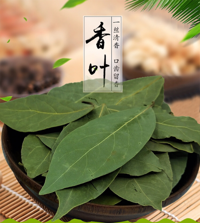 香叶新货冷库保管绿叶火锅底料全干无硫新的货
