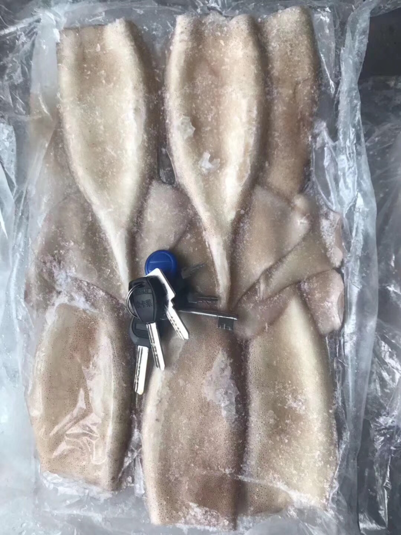特色鱿鱼铜，