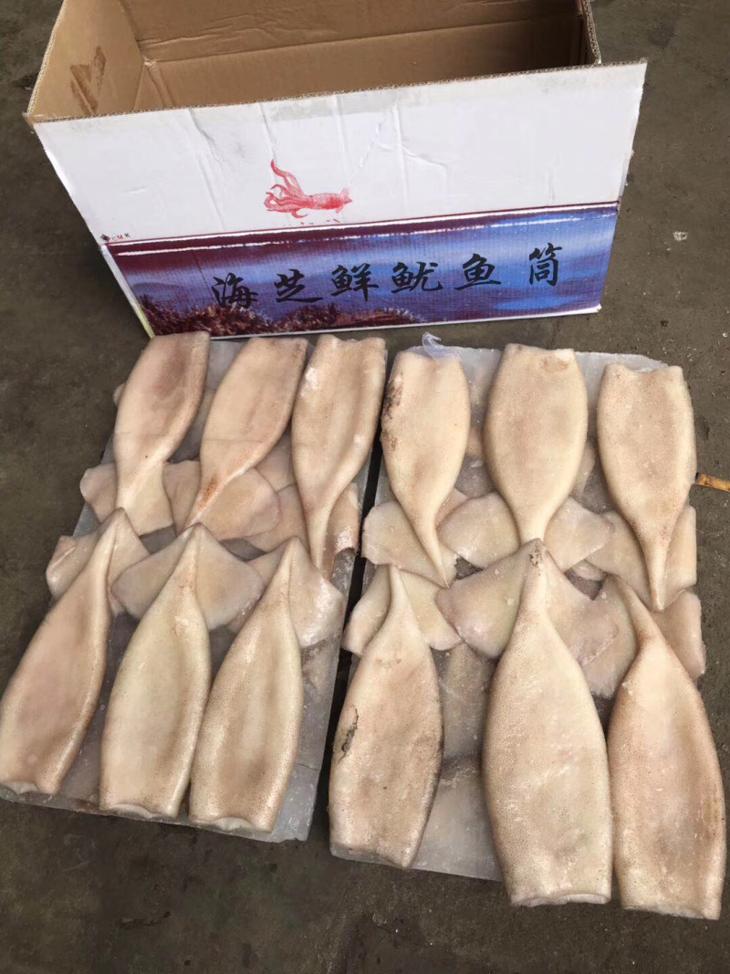 特色鱿鱼铜，