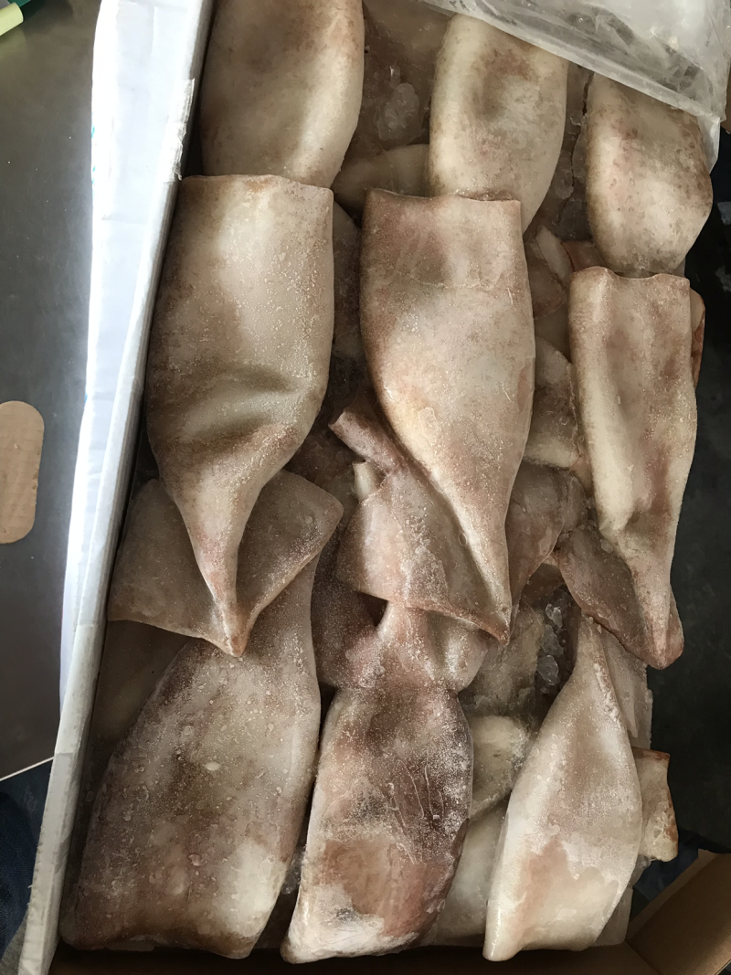 特色鱿鱼铜，