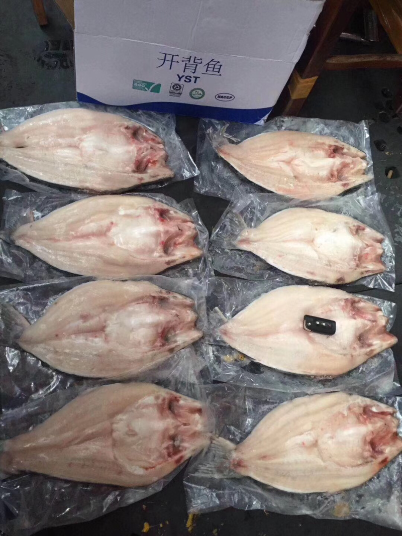 开背巴沙鱼系列