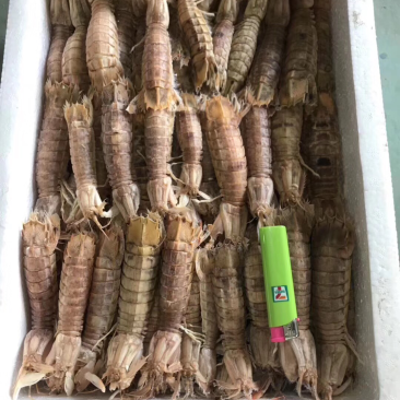 自助必备单品，皮皮虾