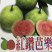 台灣新品種紅鑽芭樂