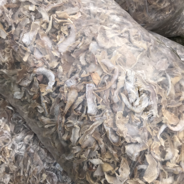 农家日晒水煮笋干高山毛竹笋干