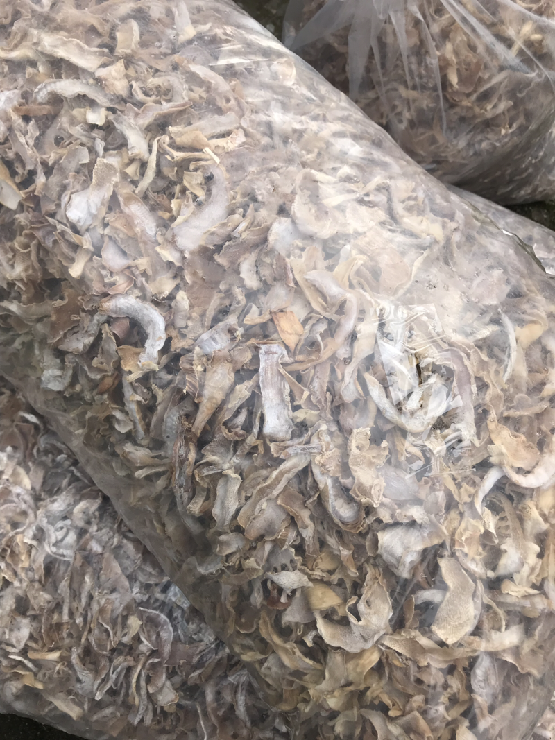 农家日晒水煮笋干高山毛竹笋干