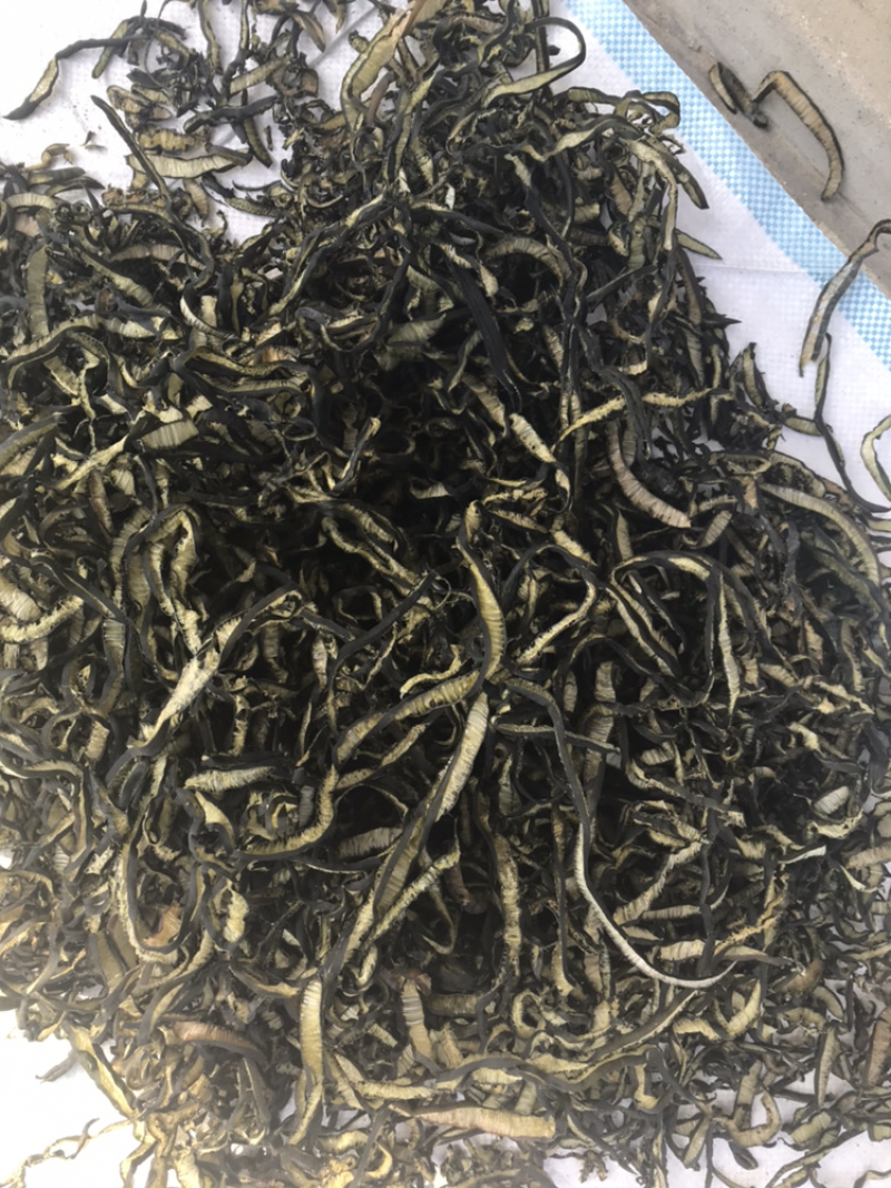 海茸海笋