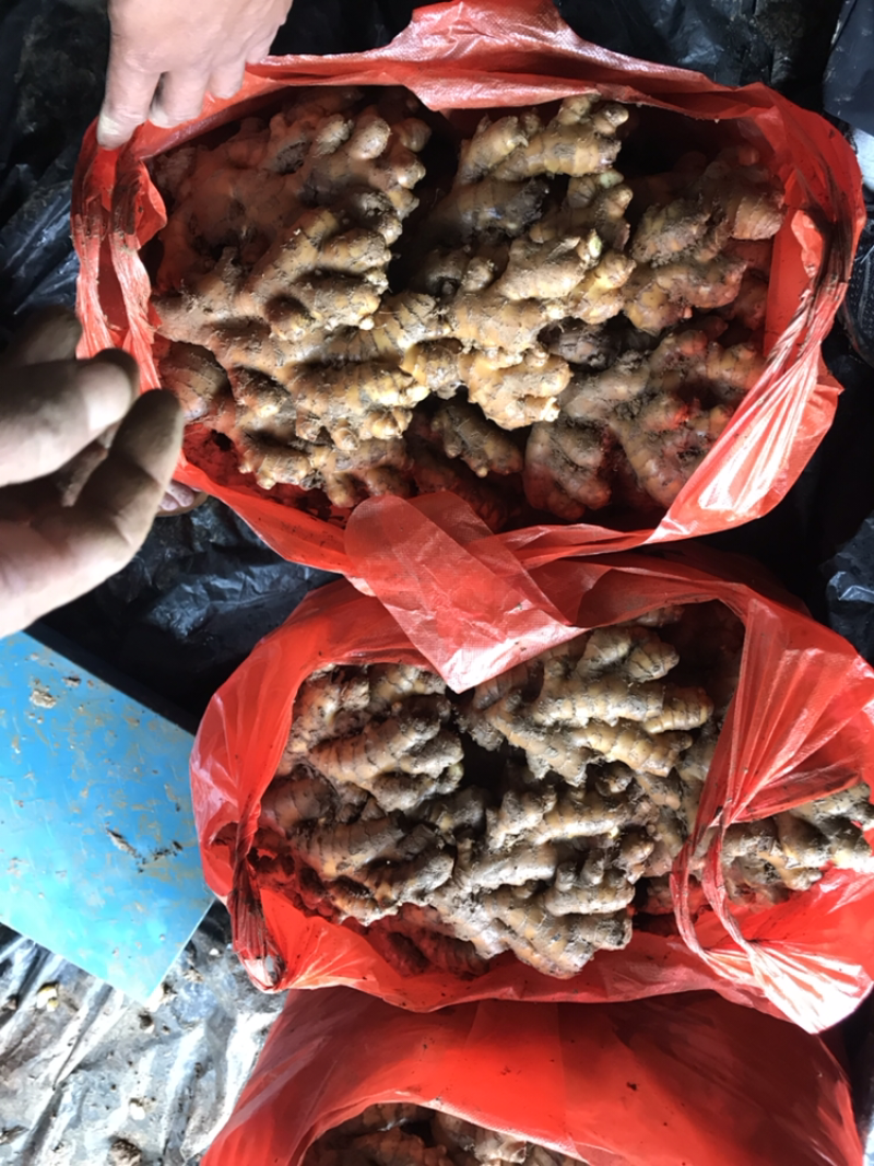特靓泥巴姜