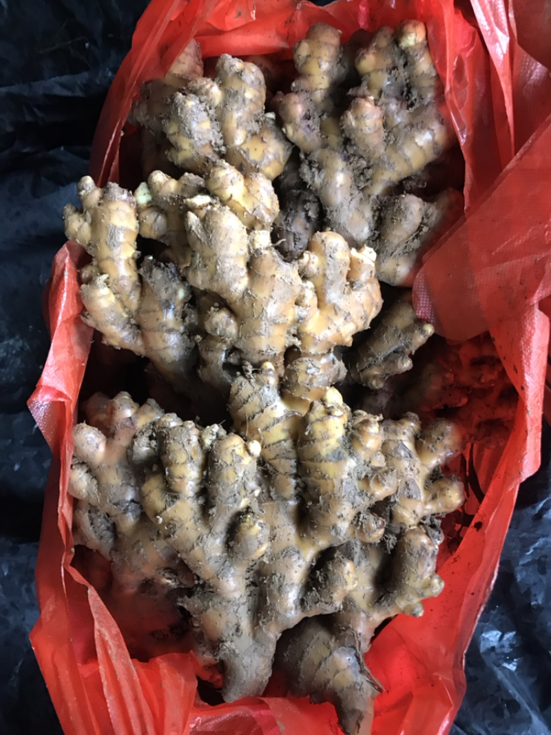 特靓泥巴姜