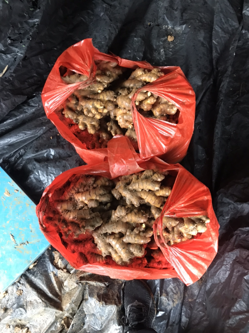 特靓泥巴姜