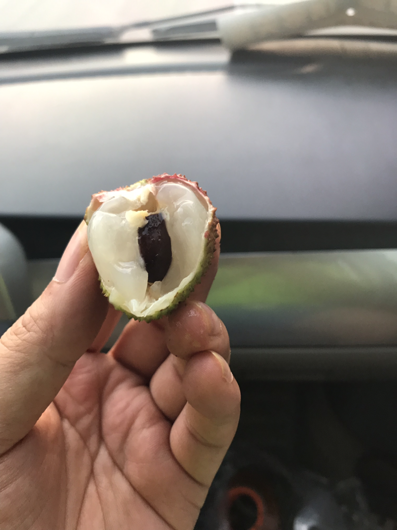 灵山妃子笑荔枝（4.8斤净果）现货发送