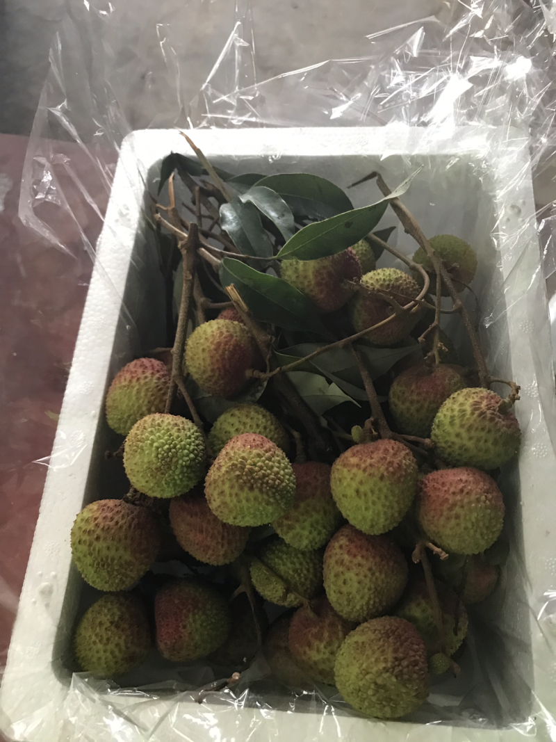 灵山妃子笑荔枝（4.8斤净果）现货发送