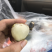 灵山妃子笑荔枝（4.8斤净果）现货发送