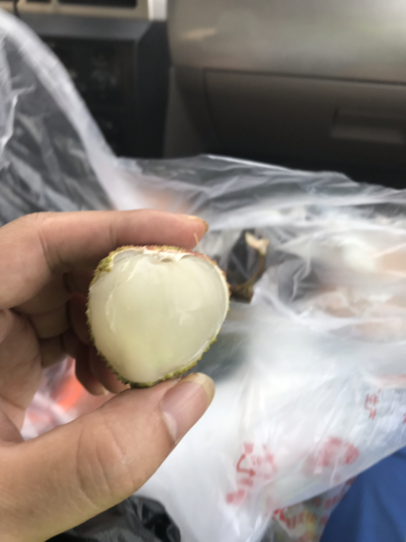 灵山妃子笑荔枝（4.8斤净果）现货发送